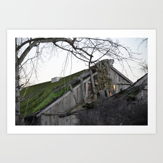 Glaring At The Sun Art Print