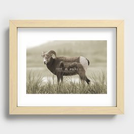 Hungry Goats Recessed Framed Print