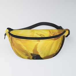 Pair of Bright Yellow Daylilies  Fanny Pack | Outside, Natural, Sun, Relationship, Shadow, Environment, Outdoors, Togetherness, Color, Pait 