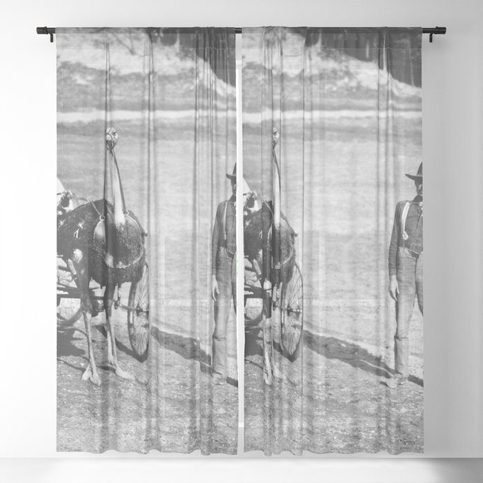 Sheer Curtain