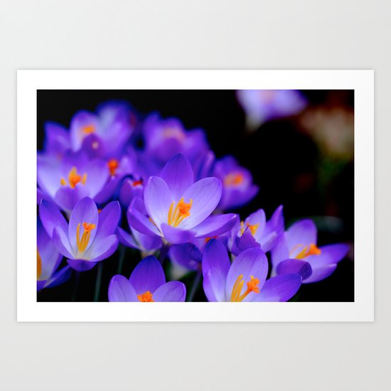 Reach Art Print