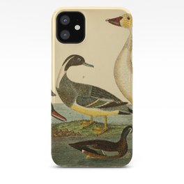 Naturalist Ducks iPhone Case | Folkart, Cabin, Rusticdecor, Decor, Print, Pillow, Naturalhistory, Cottage, Gift, Wildlife 