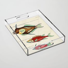 fish by Louis Renard Acrylic Tray