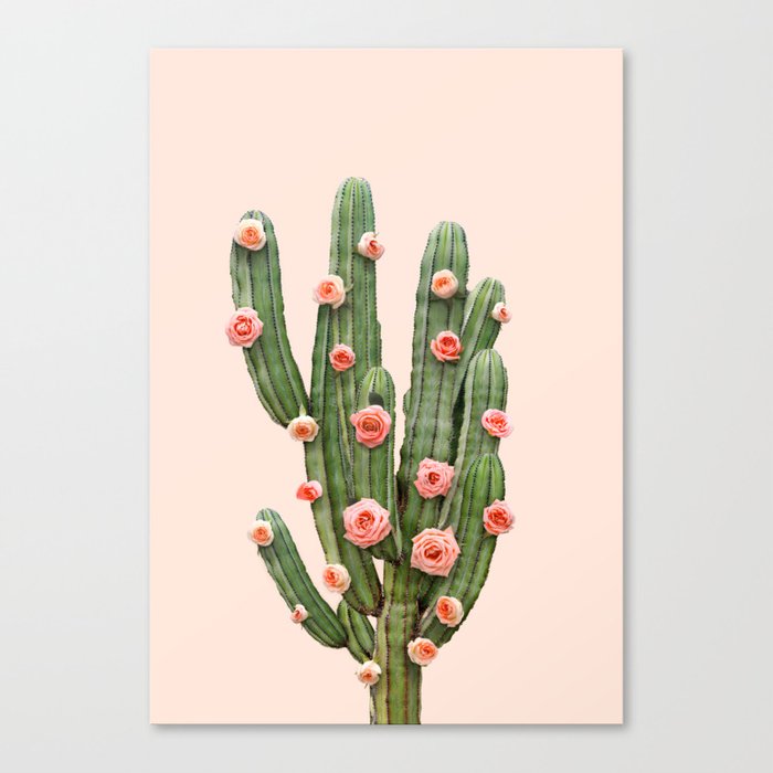 CACTUS AND ROSES Canvas Print