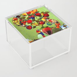 Tutti Frutti Acrylic Box