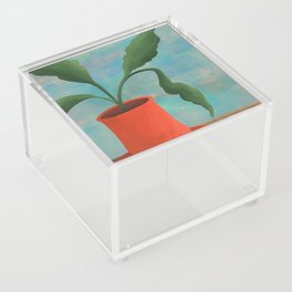 Terracotta Houseplant Acrylic Box