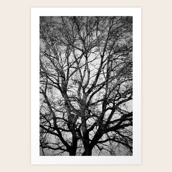 Up Art Print