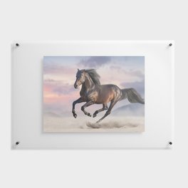 Cute Horse 20 Floating Acrylic Print