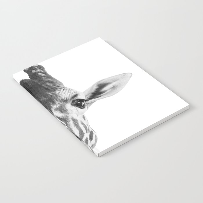 Silly Giraffe B W Wild Animal Portrait Cute Zoo Safari