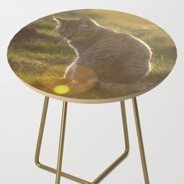 Tabby cat Side Table