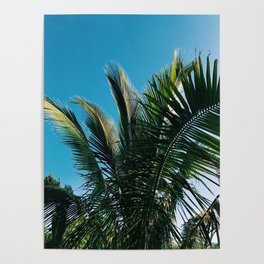 Underneath a Palm Tree Poster