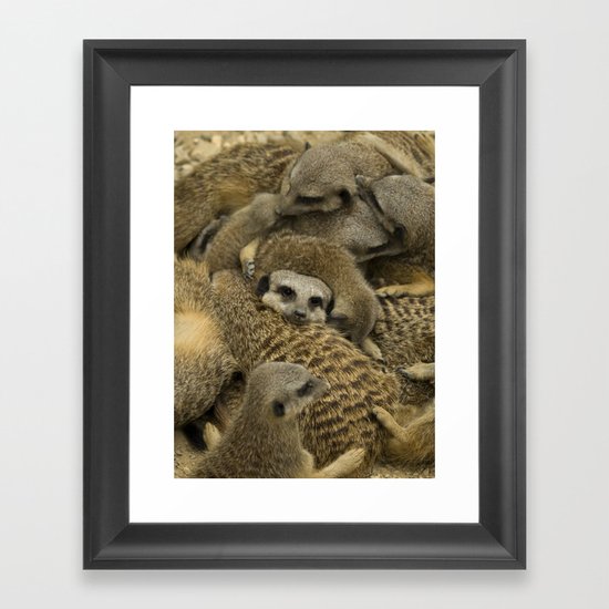 Meerkat overload Framed Art Print