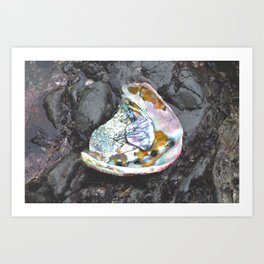 Abalone Shell Art Print