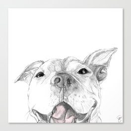 Whaddup :: A Pit Bull Smile Canvas Print