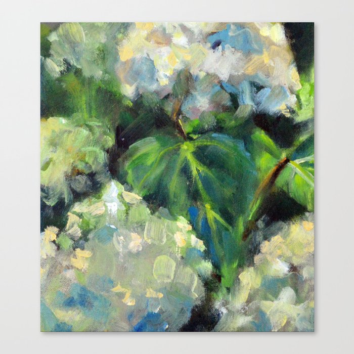 Hydrangeas in the Catskills Canvas Print