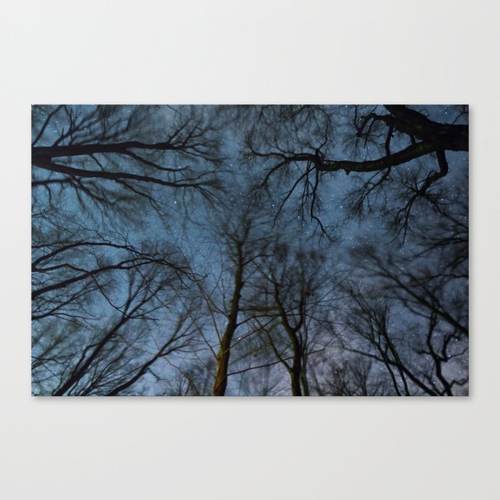 Beautiful Starry night, the Milky Way and the trees, Windy night moving trees, Canvas Print