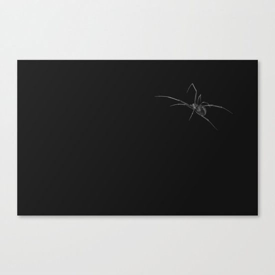 Black Widow Canvas Print