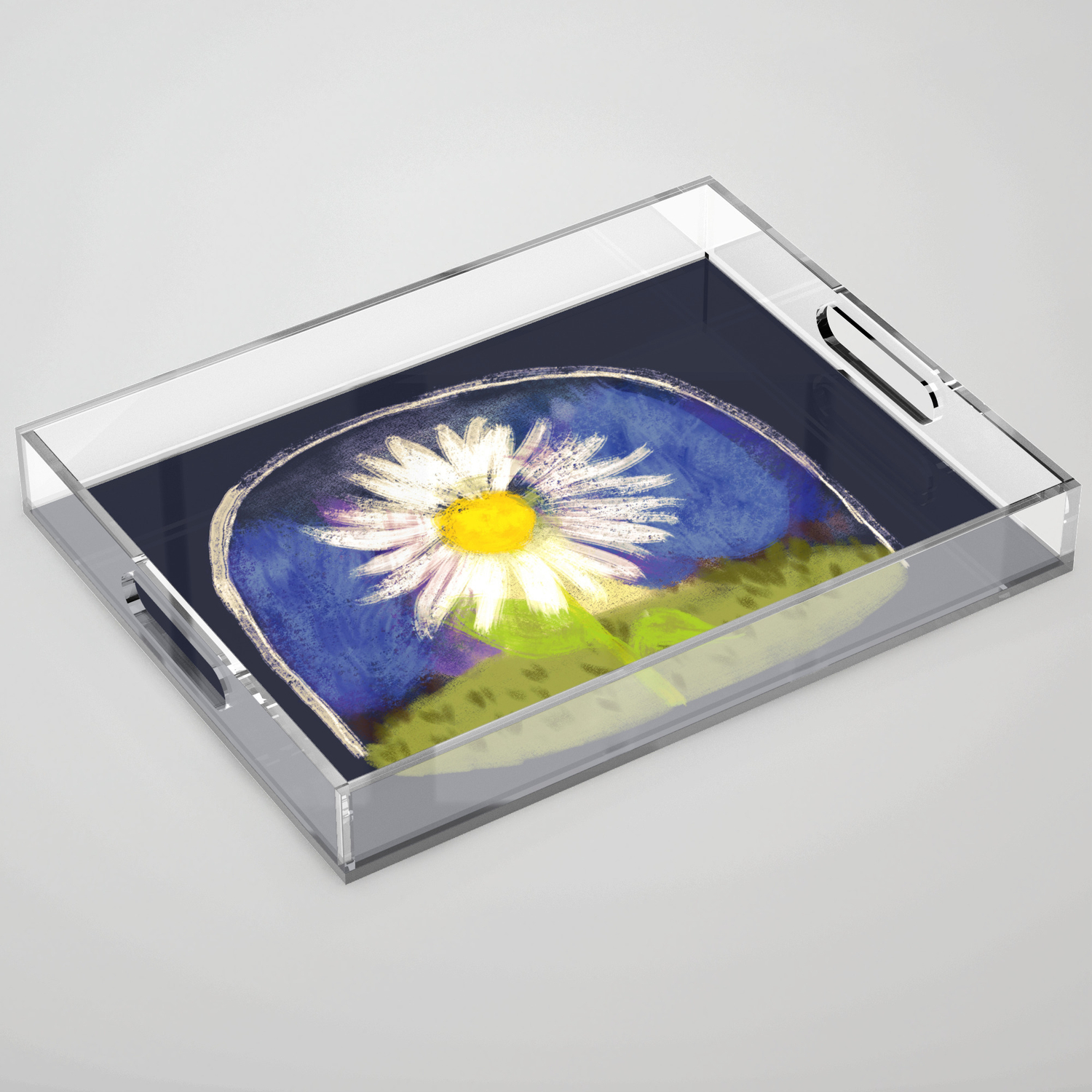 Daisy Terrarium Acrylic Tray By Evava Society6