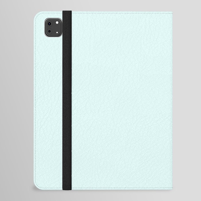 Snowing Blue iPad Folio Case