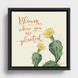 Bloom Where you are Planted Cactus Framed Canvas