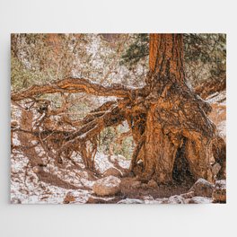 Gnarled and Wild Tree Roots Jigsaw Puzzle