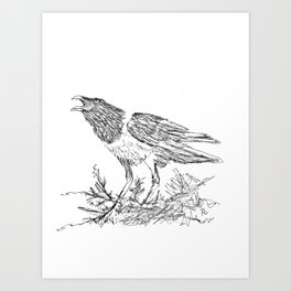 African Crow - Ria Loader Art Print