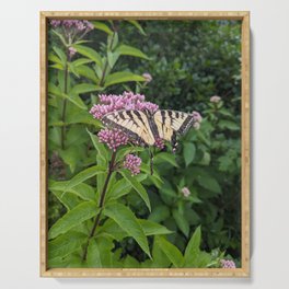Eastern Tiger Swallowtail Serving Tray