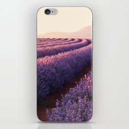 Lavendar Farm iPhone Skin