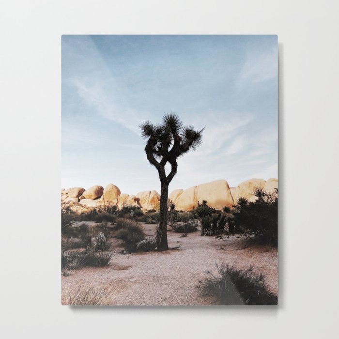 Joshua Tree Metal Print