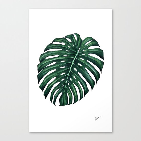 Monstera Canvas Print