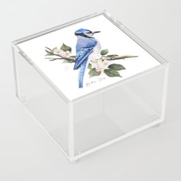 Blue Jay Foliage Acrylic Box