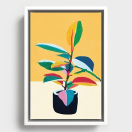Colorful Ficus 4 Framed Canvas