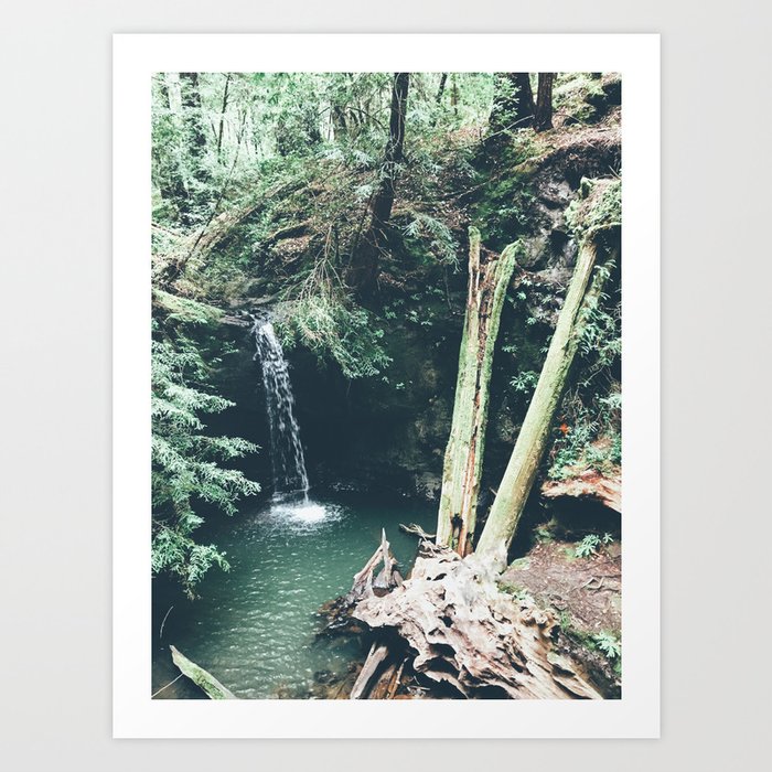 Redwood Waterfall Art Print