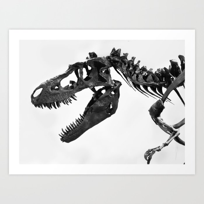 Tyrannosaurus Rex Skeleton Art Print