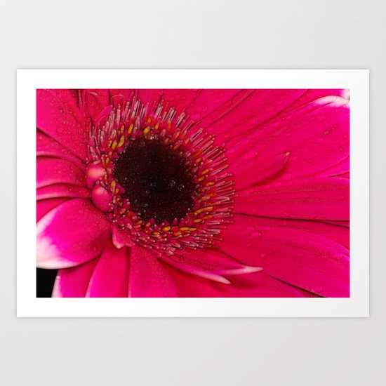 Hot Pink Art Print