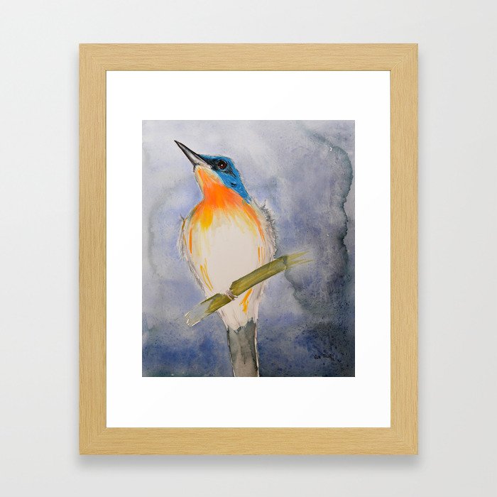 Little Blue Kingfisher Framed Art Print