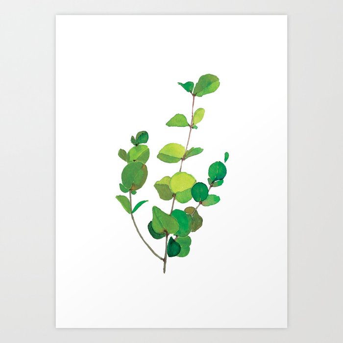 Botanic Watercolour: Eucalyptus Art Print