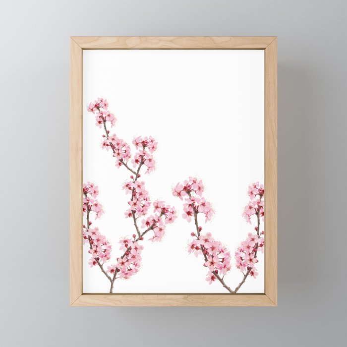 Cherry Blossoms Framed Mini Art Print