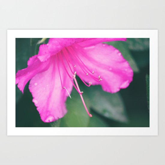 Center of It All Art Print
