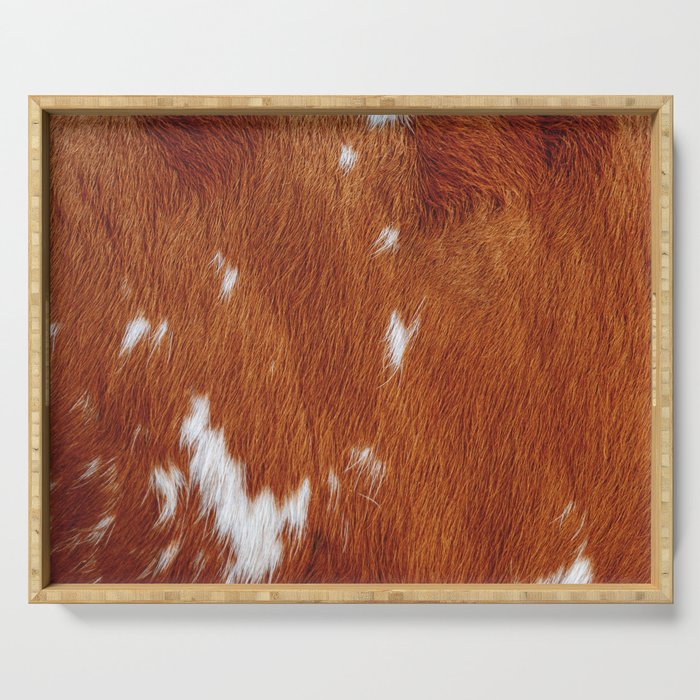 Tan Cowhide Smooth Texture Serving Tray