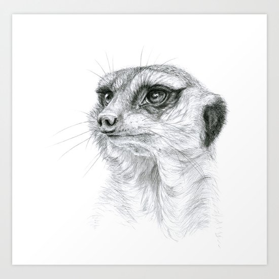 Meerkat G035 Art Print