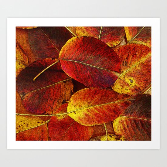 SUN SHINES ON AUTUMN LEAVES Art Print