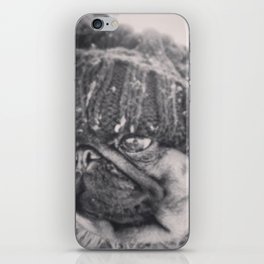 Cold Winters Pug iPhone Skin