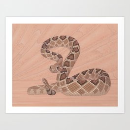 Western Diamondback Rattlesnake Art Print