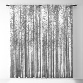 trees in forest landscape - black and white nature photography Sheer Curtain