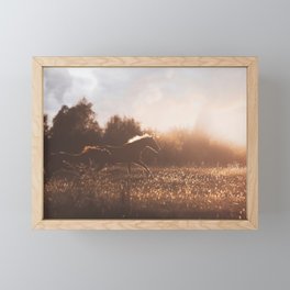 Horses after the Morning Feed Framed Mini Art Print
