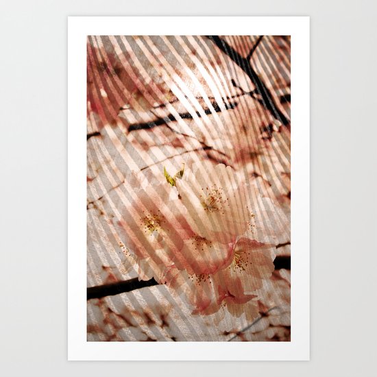 Blossom Art Print