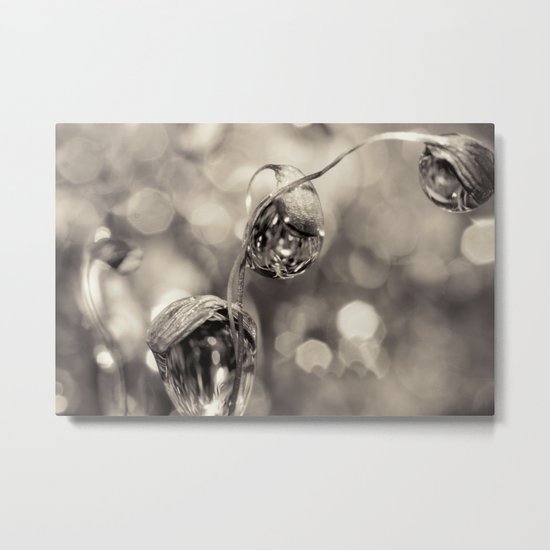 Moss Drops in B&W Metal Print