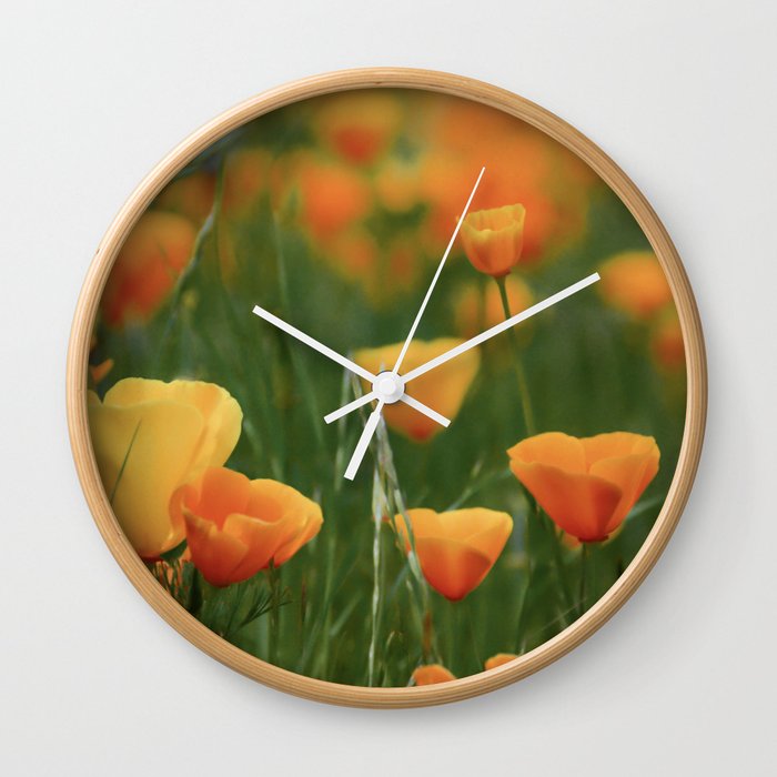 California Poppy Flowers Wall Clock
