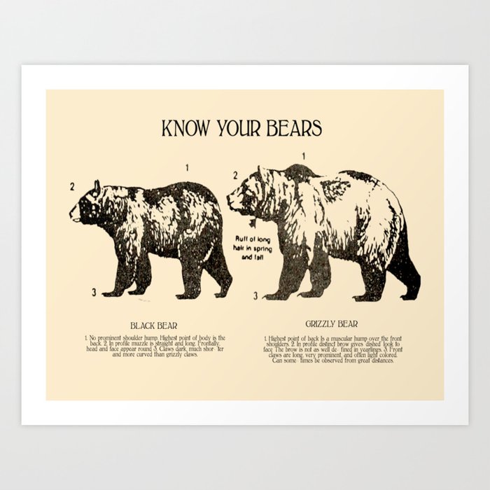 Know Your Bears Art Print
